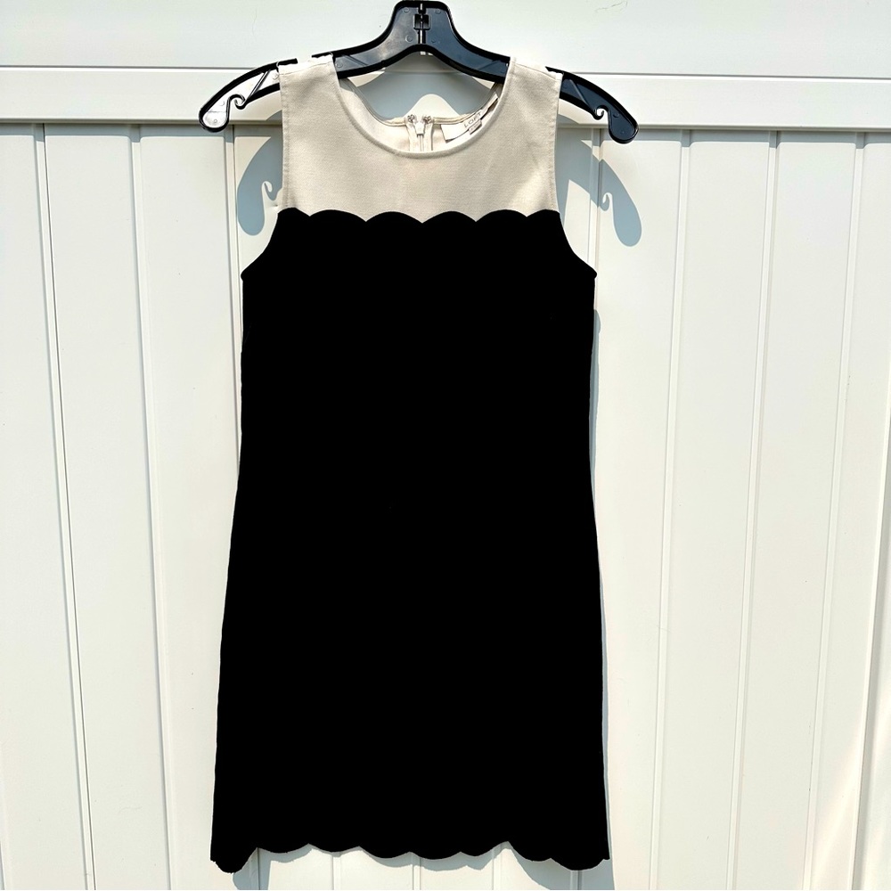 Ann Taylor Loft scalloped sheath dress